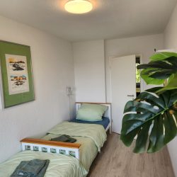 3b486d2e-825f-46a0-b54e-0822de296e70