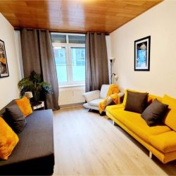 Sonnenblumen Duisburg Zentrum