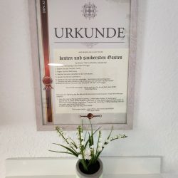 55fb581a-811b-4cdf-95b5-6f4470a0ad8e