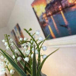 66cb770b-3fec-4528-9558-d5201877dafc