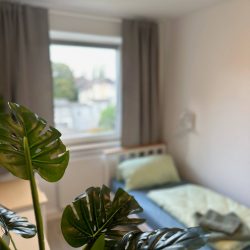 8ce1aef5-de38-461a-9ee1-8ea0efef9725