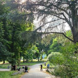 c3df24ea-c7cc-465c-b007-31126495206c