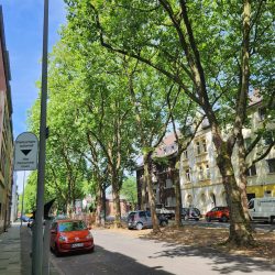 d87150f9-5684-4879-8297-01cd5b51593b