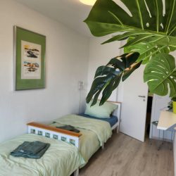 e3ff636b-5e8c-4156-81d5-e5c176b57802